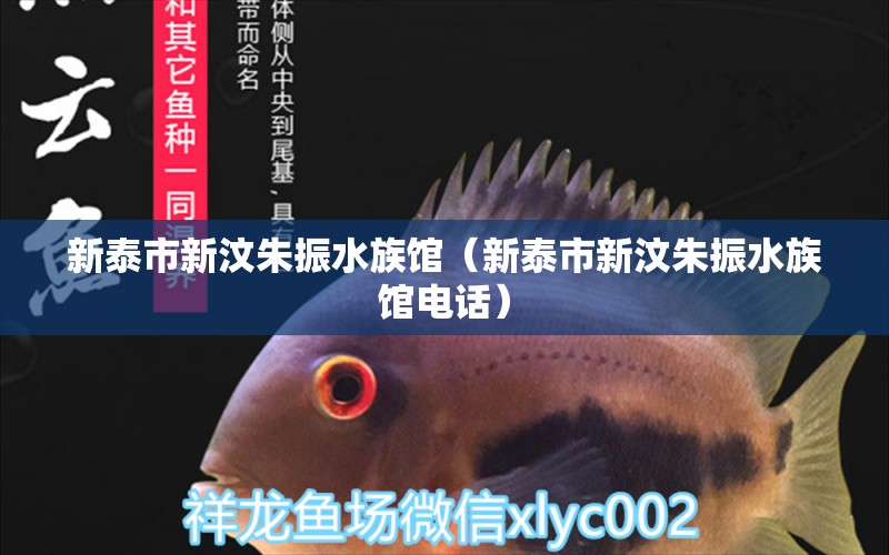 新泰市新汶朱振水族館（新泰市新汶朱振水族館電話(huà)）