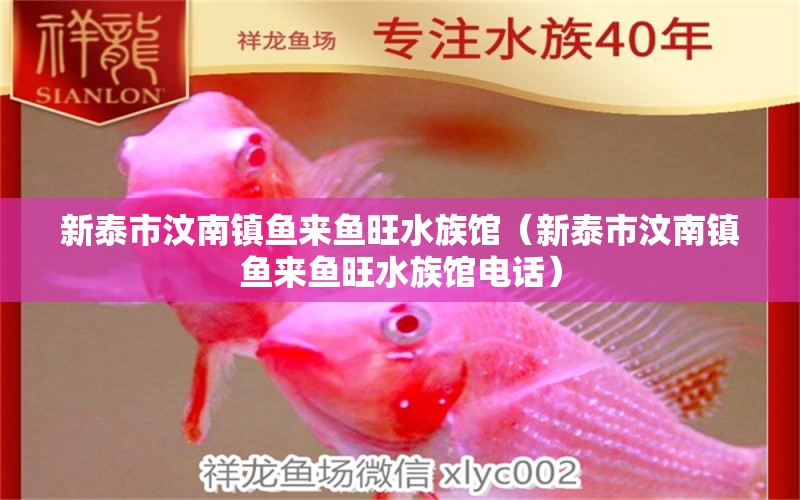 新泰市汶南鎮(zhèn)魚來魚旺水族館（新泰市汶南鎮(zhèn)魚來魚旺水族館電話） 全國水族館企業(yè)名錄