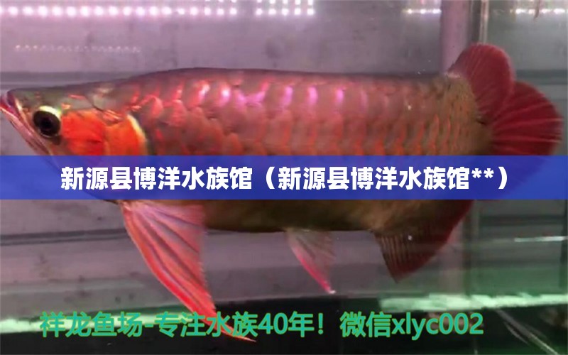 新源縣博洋水族館（新源縣博洋水族館**）