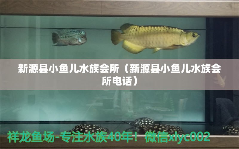 新源縣小魚兒水族會(huì)所（新源縣小魚兒水族會(huì)所電話）