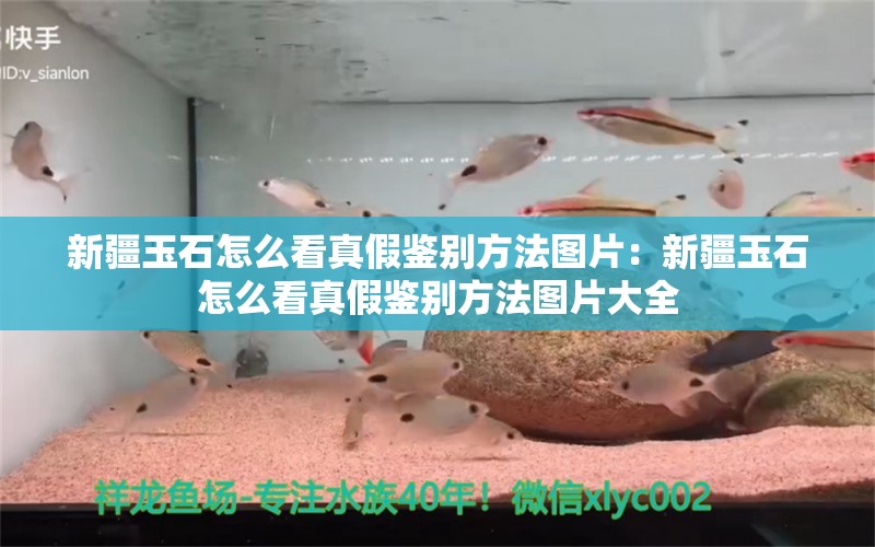 新疆玉石怎么看真假鑒別方法圖片：新疆玉石怎么看真假鑒別方法圖片大全