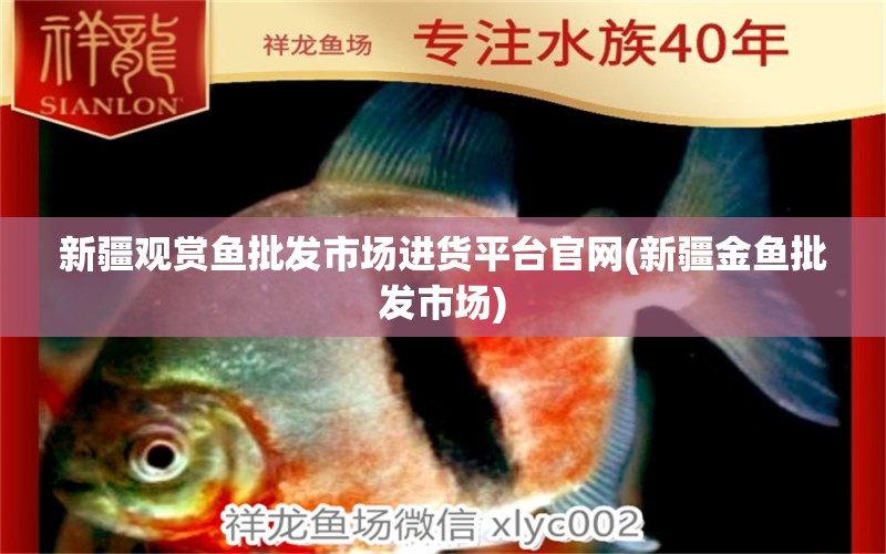 新疆觀賞魚批發(fā)市場進貨平臺官網(wǎng)(新疆金魚批發(fā)市場) 觀賞魚批發(fā)