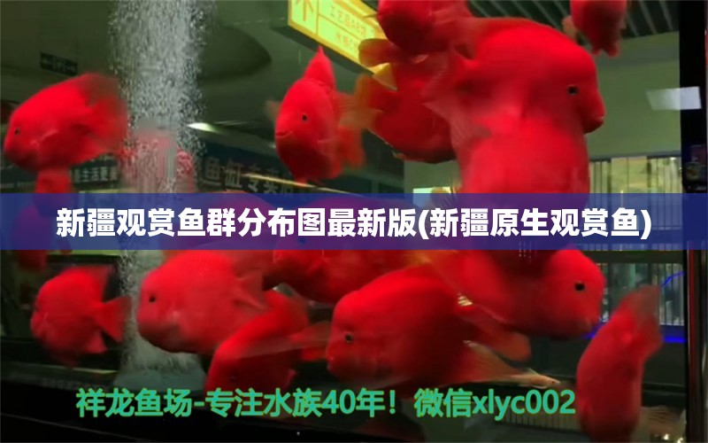 新疆觀賞魚群分布圖最新版(新疆原生觀賞魚) 2024第28屆中國國際寵物水族展覽會CIPS（長城寵物展2024 CIPS）