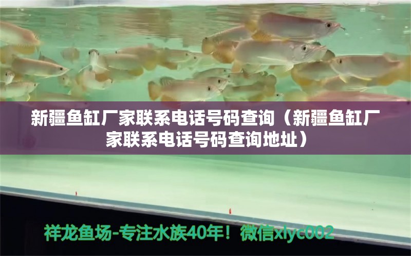 新疆魚缸廠家聯(lián)系電話號(hào)碼查詢（新疆魚缸廠家聯(lián)系電話號(hào)碼查詢地址） 觀賞魚市場(chǎng)（混養(yǎng)魚）