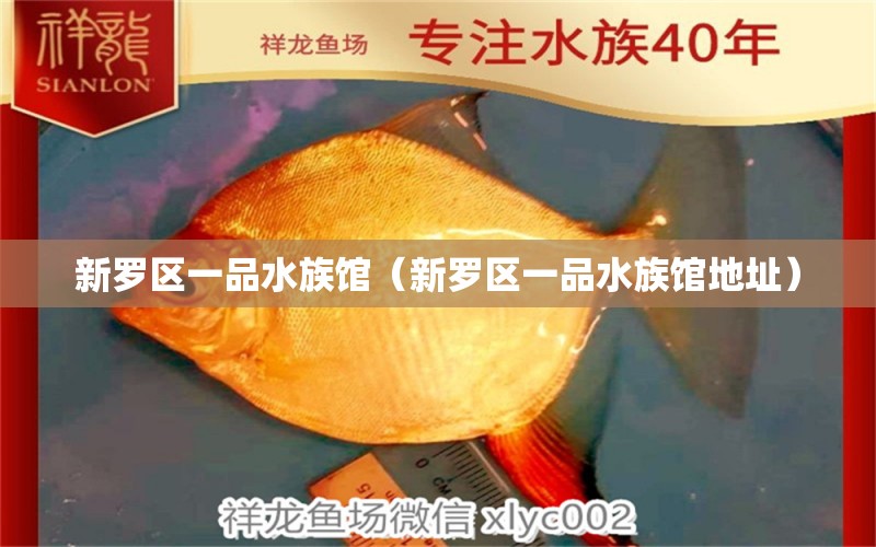 新羅區(qū)一品水族館（新羅區(qū)一品水族館地址）