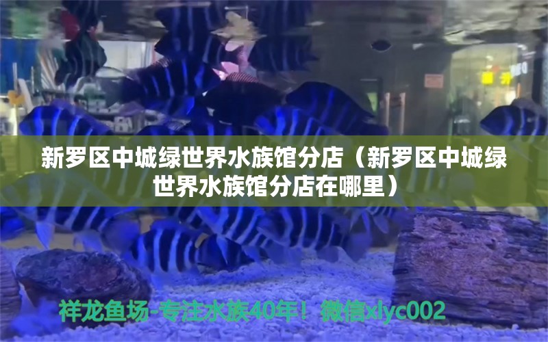 新羅區(qū)中城綠世界水族館分店（新羅區(qū)中城綠世界水族館分店在哪里）