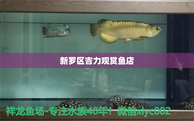 新羅區(qū)吉力觀賞魚店 全國(guó)水族館企業(yè)名錄