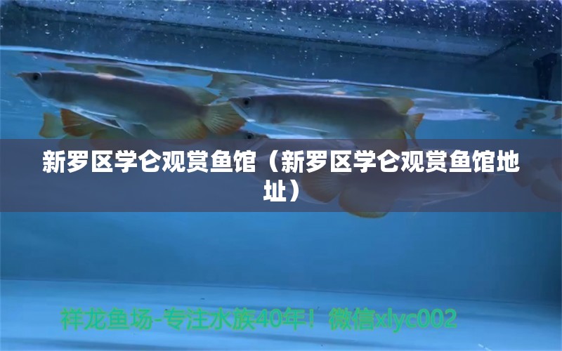 新羅區(qū)學(xué)侖觀賞魚館（新羅區(qū)學(xué)侖觀賞魚館地址）