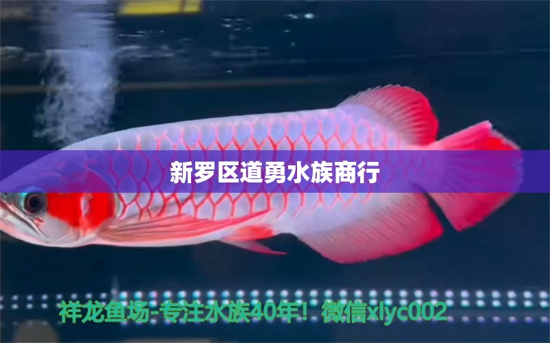 新羅區(qū)道勇水族商行