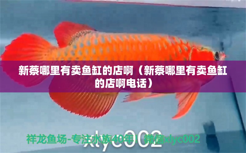 新蔡哪里有賣魚缸的店?。ㄐ虏棠睦镉匈u魚缸的店啊電話）