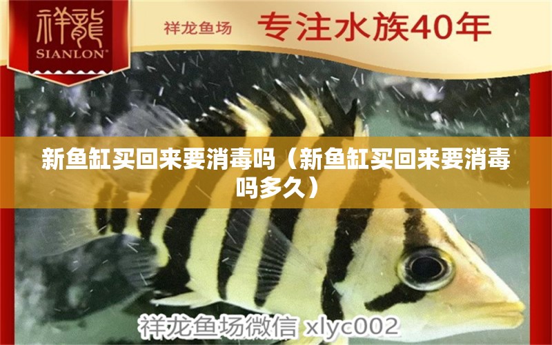 新魚缸買回來要消毒嗎（新魚缸買回來要消毒嗎多久） 觀賞魚市場（混養(yǎng)魚）