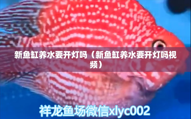 新魚缸養(yǎng)水要開燈嗎（新魚缸養(yǎng)水要開燈嗎視頻）