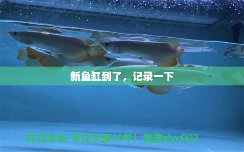 新魚缸到了，記錄一下 觀賞魚論壇 第2張