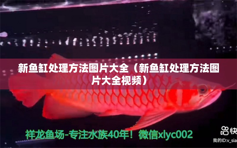 新魚缸處理方法圖片大全（新魚缸處理方法圖片大全視頻）