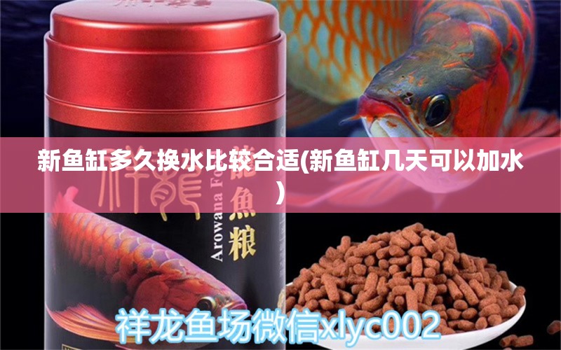 新魚缸多久換水比較合適(新魚缸幾天可以加水)