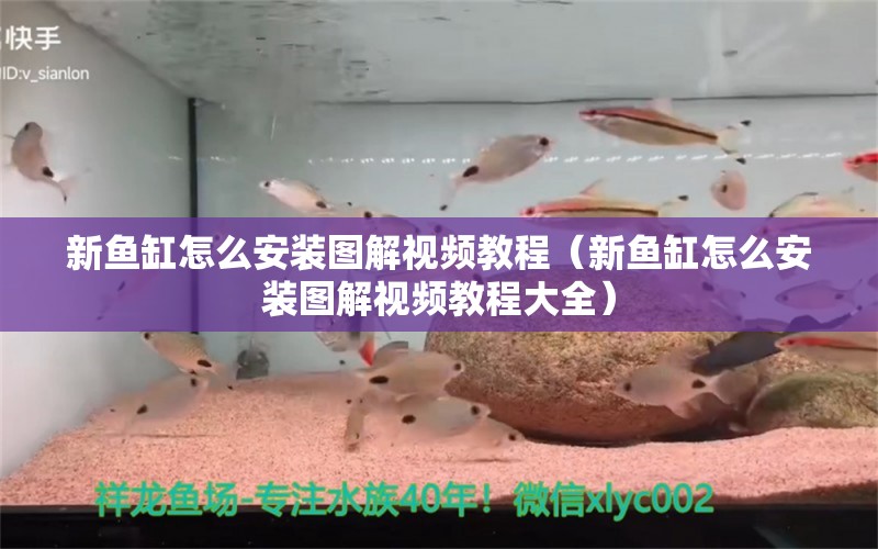 新魚缸怎么安裝圖解視頻教程（新魚缸怎么安裝圖解視頻教程大全） 祥龍水族醫(yī)院