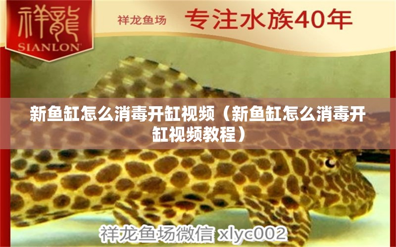 新魚(yú)缸怎么消毒開(kāi)缸視頻（新魚(yú)缸怎么消毒開(kāi)缸視頻教程） 祥龍水族醫(yī)院