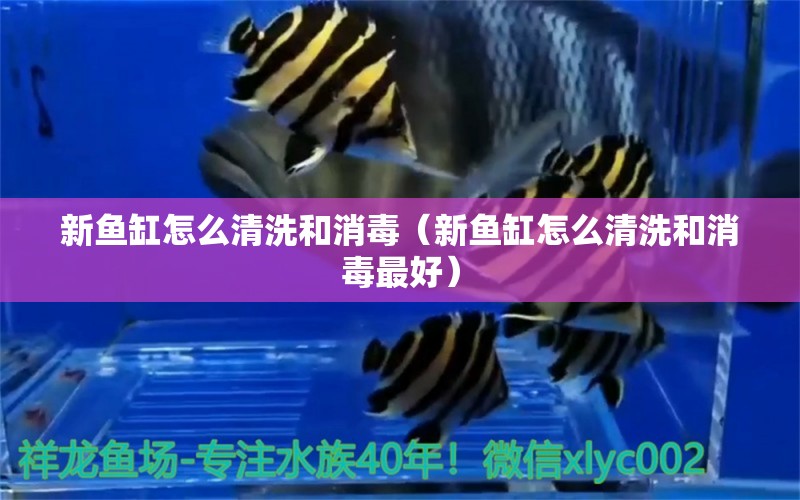 新魚缸怎么清洗和消毒（新魚缸怎么清洗和消毒最好） 海水魚（海水魚批發(fā)）