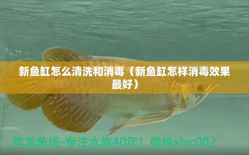 新魚缸怎么清洗和消毒（新魚缸怎樣消毒效果最好）