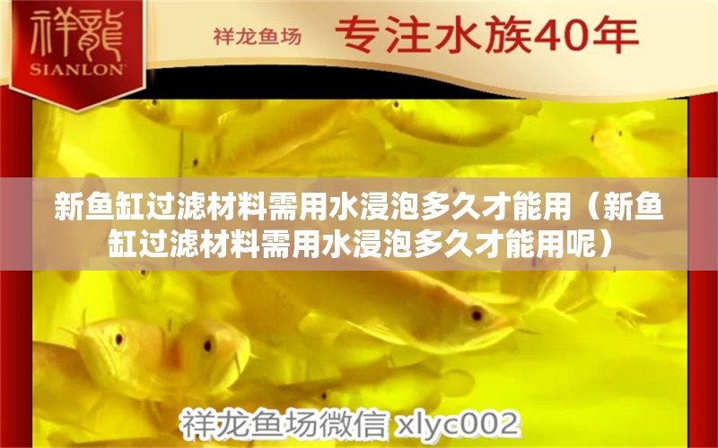 新魚(yú)缸過(guò)濾材料需用水浸泡多久才能用（新魚(yú)缸過(guò)濾材料需用水浸泡多久才能用呢） 量子養(yǎng)魚(yú)技術(shù)