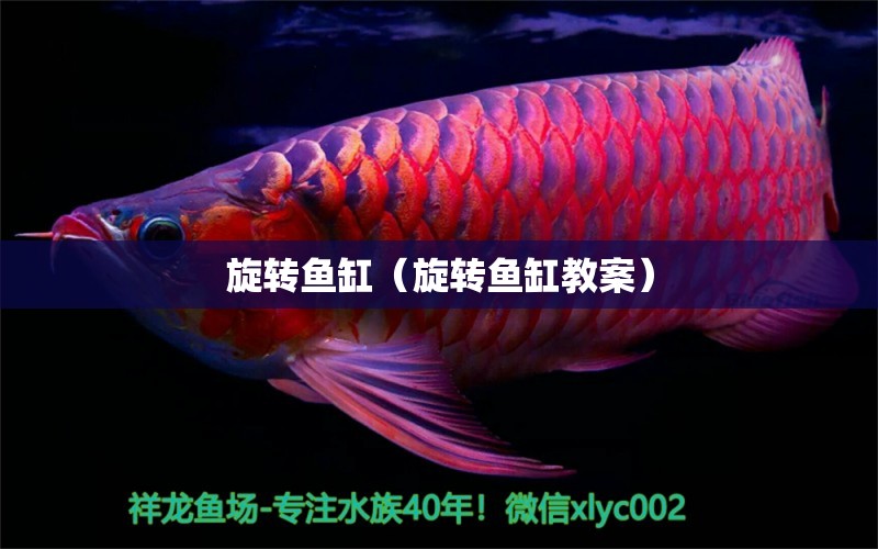 旋轉(zhuǎn)魚缸（旋轉(zhuǎn)魚缸教案）