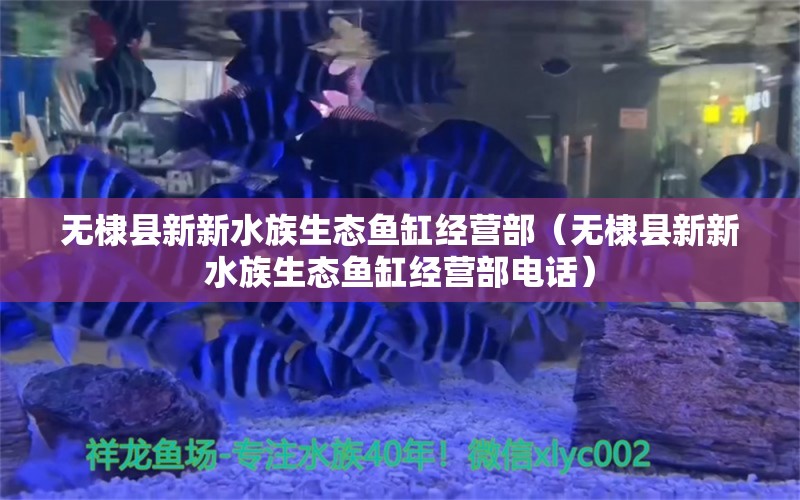 無棣縣新新水族生態(tài)魚缸經(jīng)營(yíng)部（無棣縣新新水族生態(tài)魚缸經(jīng)營(yíng)部電話） 全國(guó)水族館企業(yè)名錄