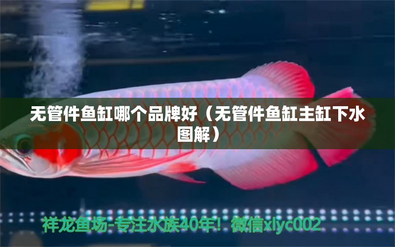 無管件魚缸哪個品牌好（無管件魚缸主缸下水圖解）