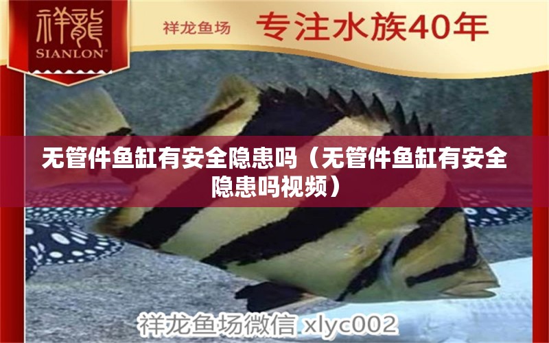 無管件魚缸有安全隱患嗎（無管件魚缸有安全隱患嗎視頻）