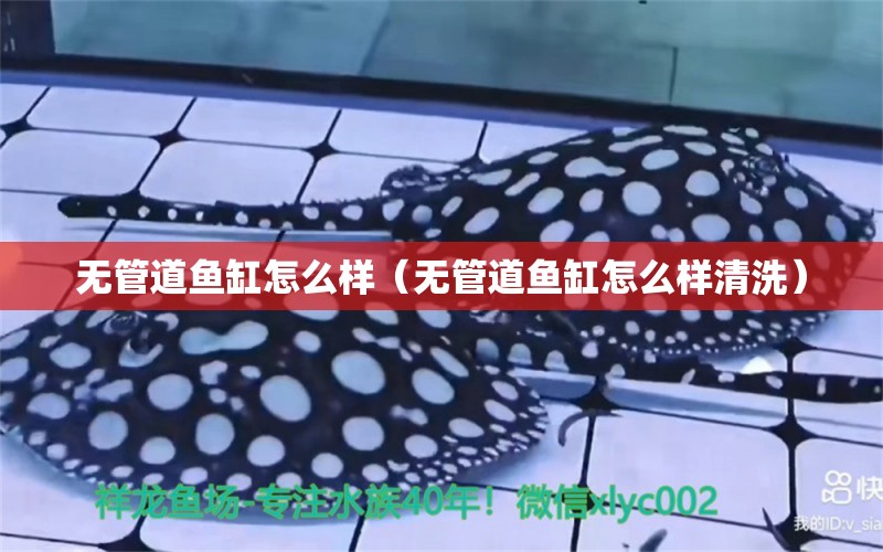 無(wú)管道魚缸怎么樣（無(wú)管道魚缸怎么樣清洗） 祥龍水族醫(yī)院