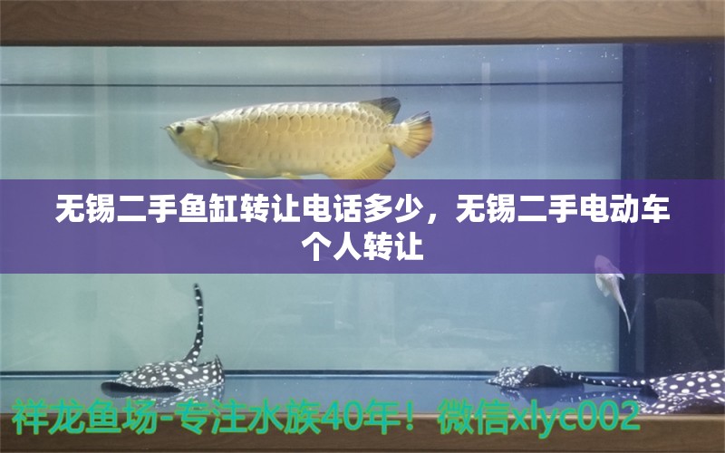 無錫二手魚缸轉讓電話多少，無錫二手電動車個人轉讓 觀賞魚