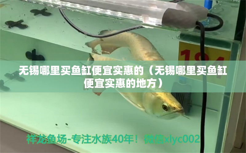 無(wú)錫哪里買魚(yú)缸便宜實(shí)惠的（無(wú)錫哪里買魚(yú)缸便宜實(shí)惠的地方） 祥龍魚(yú)場(chǎng)