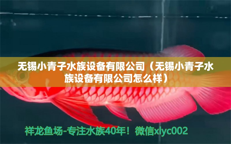 無錫小青子水族設(shè)備有限公司（無錫小青子水族設(shè)備有限公司怎么樣） 全國水族館企業(yè)名錄