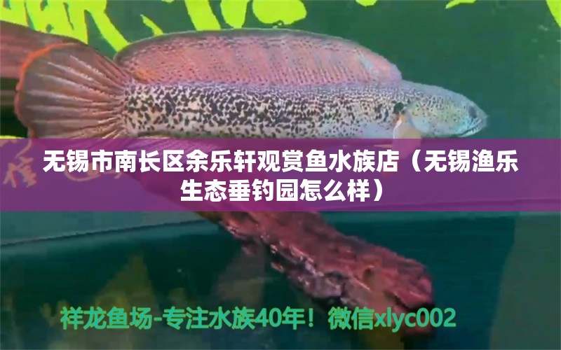 無錫市南長區(qū)余樂軒觀賞魚水族店（無錫漁樂生態(tài)垂釣園怎么樣） 垂釣樂園