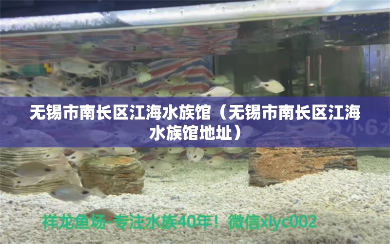 無錫市南長區(qū)江海水族館（無錫市南長區(qū)江海水族館地址）