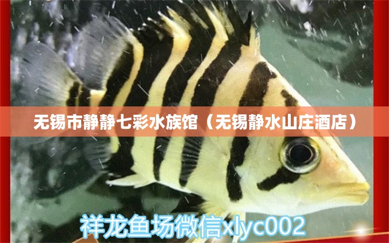 無錫市靜靜七彩水族館（無錫靜水山莊酒店）