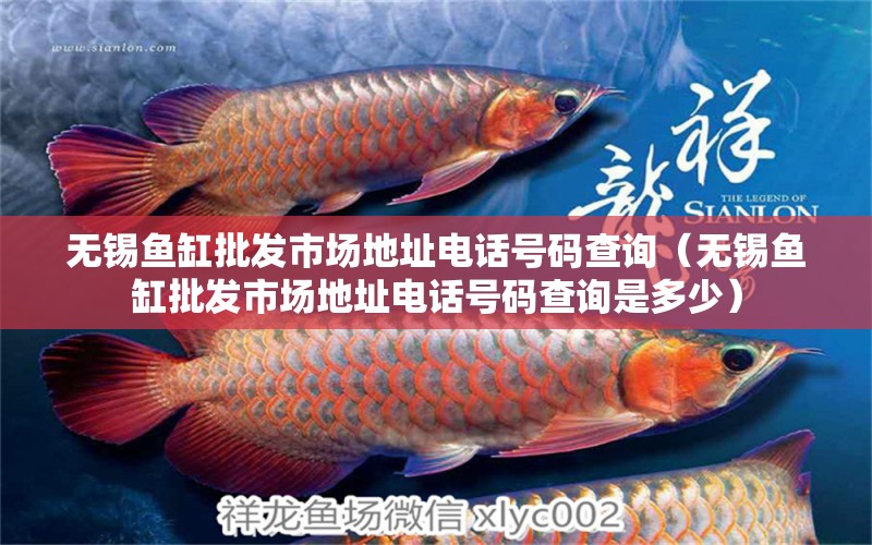 無錫魚缸批發(fā)市場(chǎng)地址電話號(hào)碼查詢（無錫魚缸批發(fā)市場(chǎng)地址電話號(hào)碼查詢是多少）