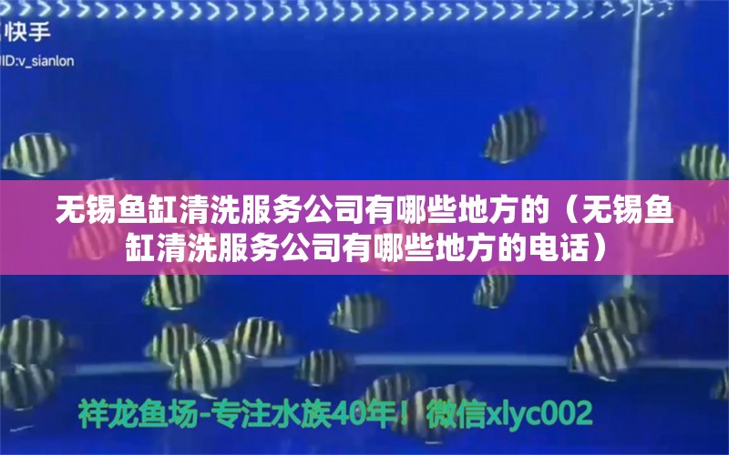 無錫魚缸清洗服務公司有哪些地方的（無錫魚缸清洗服務公司有哪些地方的電話）