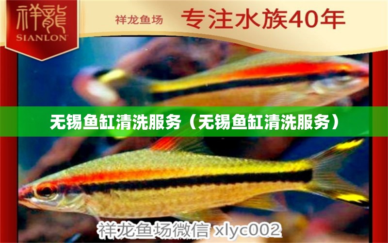 無錫魚缸清洗服務(wù)（無錫魚缸清洗服務(wù)） 廣州觀賞魚批發(fā)市場