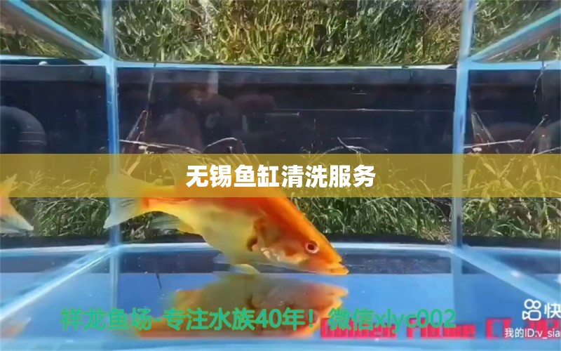 無錫魚缸清洗服務