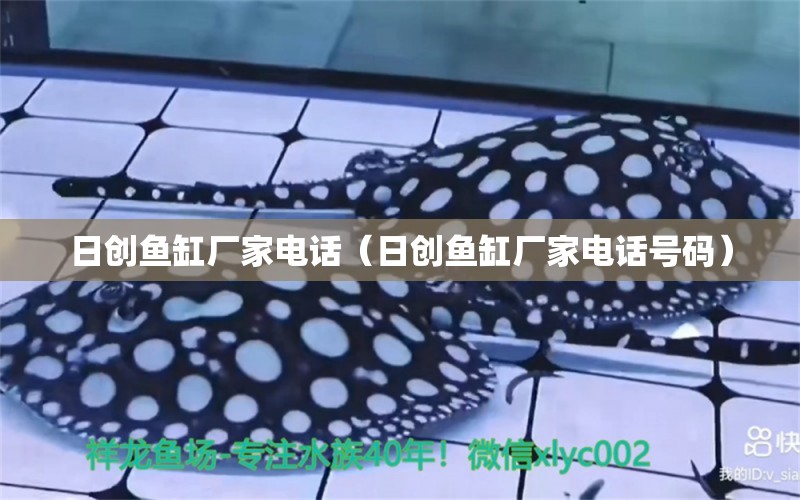 日創(chuàng)魚缸廠家電話（日創(chuàng)魚缸廠家電話號碼）