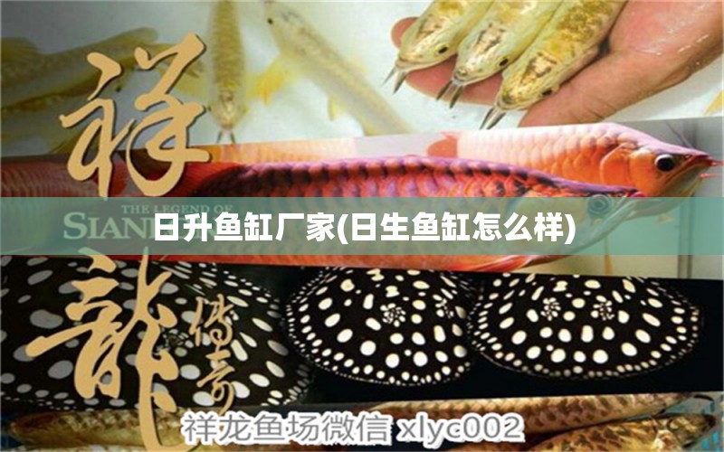 日升魚缸廠家(日生魚缸怎么樣) 除藻劑