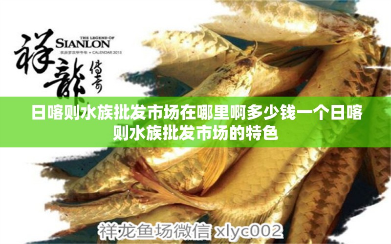 日喀則水族批發(fā)市場在哪里啊多少錢一個(gè)日喀則水族批發(fā)市場的特色