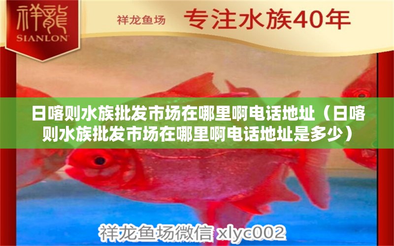 日喀則水族批發(fā)市場在哪里啊電話地址（日喀則水族批發(fā)市場在哪里啊電話地址是多少）