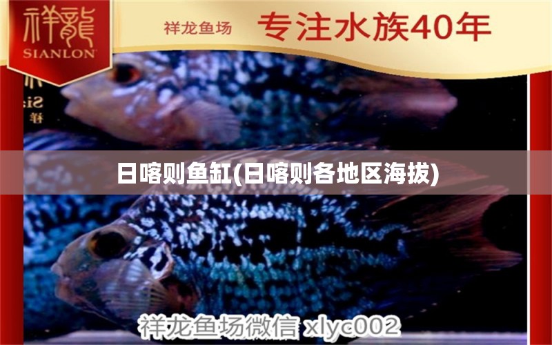 日喀則魚缸(日喀則各地區(qū)海拔)