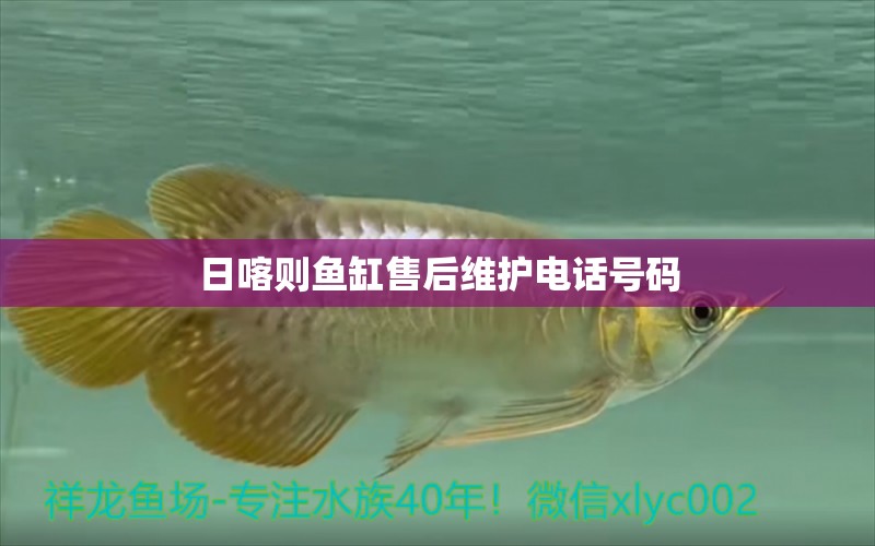 日喀則魚缸售后維護(hù)電話號(hào)碼 其他品牌魚缸