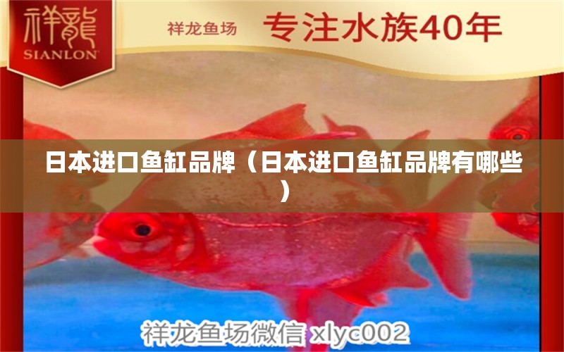 日本進口魚缸品牌（日本進口魚缸品牌有哪些） 圣菲埃及魚