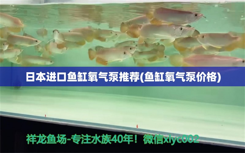 日本進口魚缸氧氣泵推薦(魚缸氧氣泵價格) 照明器材 第2張