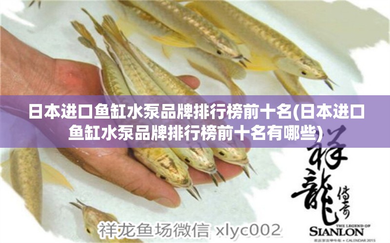 日本進(jìn)口魚缸水泵品牌排行榜前十名(日本進(jìn)口魚缸水泵品牌排行榜前十名有哪些) 白子黃化銀龍魚