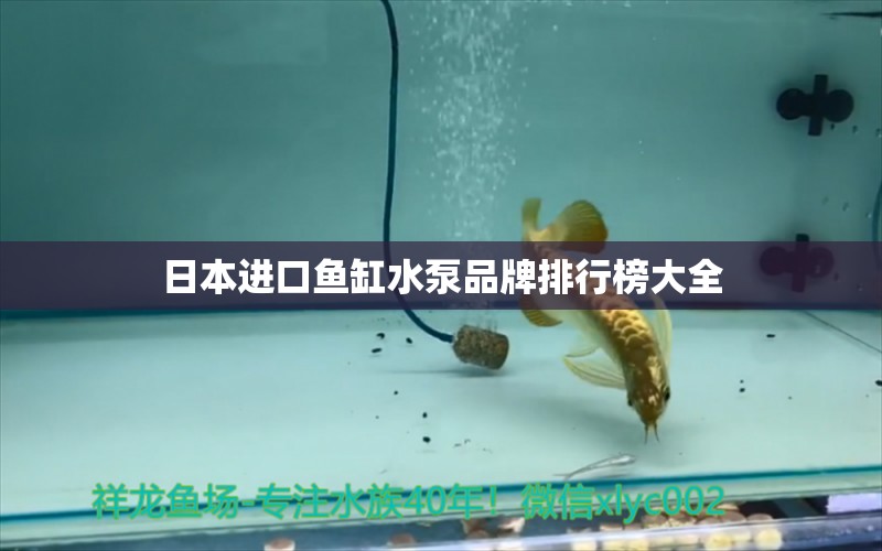 日本進(jìn)口魚缸水泵品牌排行榜大全