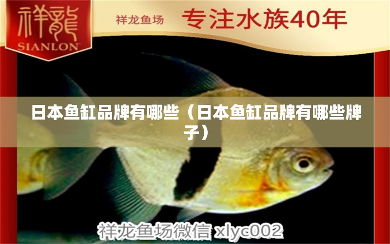 日本魚缸品牌有哪些（日本魚缸品牌有哪些牌子）